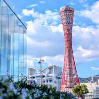 ローズマリー,神戸ポートタワー,お花,神戸,そらの画像