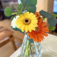 観葉植物,ボタニカルライフ,花のある暮らし,植物のある暮らしの画像