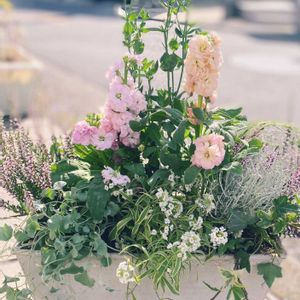 カルーナ,八重咲きストック,トルコギキョウ,寄せ植え,青い花マニアの画像