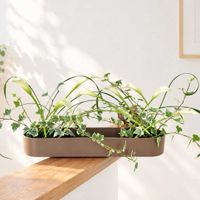 カラー,アイビー,ミスカンサス,フラワーアレンジメント,花のある暮らしの画像