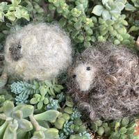 ブーケ,バルコニー/ベランダ,お出かけ先の画像