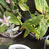 ベランダの画像