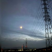 ニオイバンマツリ,干し柿,ハッピーハロウィン,月夜,なんかせつないの画像