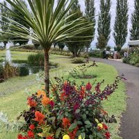 ギャザリング寄せ植え,秋の気配,ありがとう♡,素敵な出会いに感謝,見附イングリッシュガーデンの画像