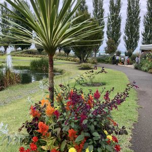 ギャザリング寄せ植え,秋の気配,ありがとう♡,素敵な出会いに感謝,見附イングリッシュガーデンの画像