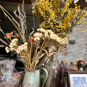 フィロデンドロン・セローム,ドライフラワーいろいろ,彼岸花  曼珠沙華の画像