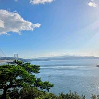松ぼっくり,黒松,ソメイヨシノ,モッコク,ハゼノキの画像