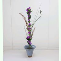 エニシダ,ユキヤナギ,リンドウ,リンドウ,リンドウの画像