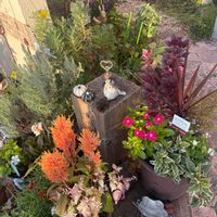 寄せ植え,花のある暮らし,日々に感謝,小さな庭の画像