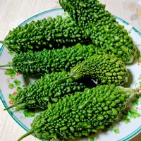 ゴーヤ,ゴーヤ,ベランダ園芸の画像