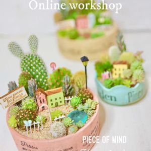 サボテン寄せ植え,ミニ多肉植物,ワークショップ作品,ワークショップ作品,販売中の画像