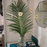 観葉植物,切り花,一輪挿し,可愛い,花瓶の画像