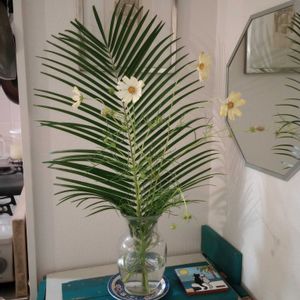 観葉植物,切り花,一輪挿し,可愛い,花瓶の画像
