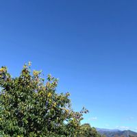 手作り雑貨,お庭作り中,土曜日は お空の発表会,広い庭の画像