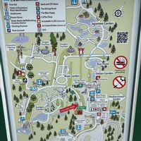 ランタナ,ビクトリア,旅行先,イングリッシュガーデン,バンクーバーの画像