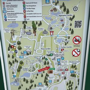 ランタナ,ビクトリア,旅行先,イングリッシュガーデン,バンクーバーの画像