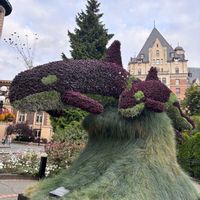 カンナ,ビクトリア,オルカ,旅行先,イングリッシュガーデンの画像