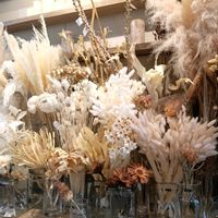 チューリップ,乙女心,公園,散歩,秋の風景の画像