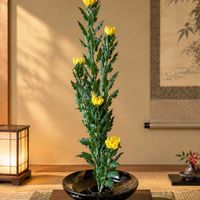 キク,生け花,花のある暮らし,生け花初心者,日曜日は日本を感じる和の花の画像