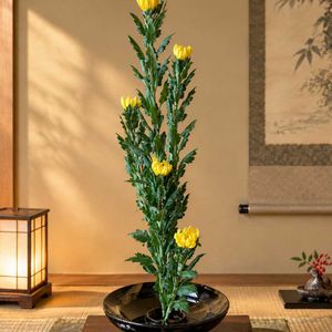 キク,生け花,花のある暮らし,生け花初心者,日曜日は日本を感じる和の花の画像