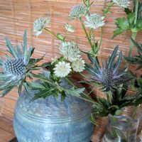 ドライフラワー,平和を願う☆,お花に癒されて,エリンジウム♡,妄想倶楽部の画像