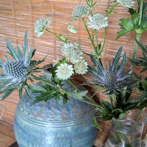 ドライフラワー,平和を願う☆,お花に癒されて,エリンジウム♡,妄想倶楽部の画像