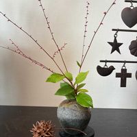 ヨメナ,カラミンサ,タンポポ,ミズヒキ,花のある暮らしの画像