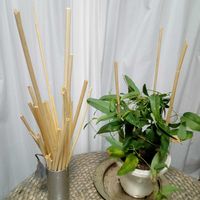 ハーデンベルギア,麻がら,和む,ありがとう,冬越しの画像