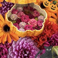 ケイトウ,バラ,コラージュ,❤️いいね、ありがとう,ハロウィン月間の画像