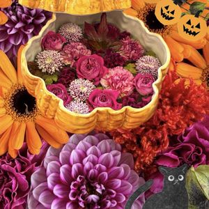 ケイトウ,バラ,コラージュ,❤️いいね、ありがとう,ハロウィン月間の画像