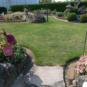 芝生,可愛い,癒される,お散歩,花のある暮らしの画像