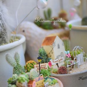 サボテン,セダム,サボテン寄せ植え,箱庭,ワークショップ作品の画像