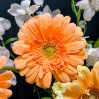 切り花,ブーケ,プレゼント,花のある暮らし,緑のある暮らしの画像