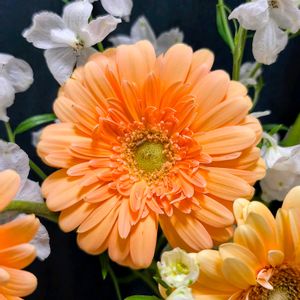 切り花,ブーケ,プレゼント,花のある暮らし,緑のある暮らしの画像
