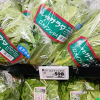 レタスの画像