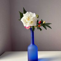 とうがらし,酔芙蓉,いけばな,草月流の画像