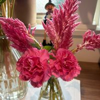 カーネーション,けいとう,ケイトウ セロシア,花瓶の画像