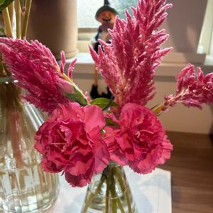 カーネーション,けいとう,ケイトウ セロシア,花瓶の画像