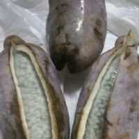 アケビの画像