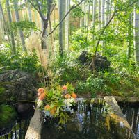 日本庭園,水辺の風景,倉敷美観地区,水辺の水曜日,素敵な水曜日の画像