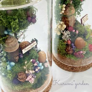 タマラックコーン,木の実のアレンジ,木の実のアレンジ,どんぐりの帽子,ドライフラワーの箱庭の画像