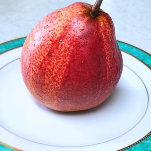 バラ,果物,バラ 鉢植え,秋バラ,珍しい果物の画像