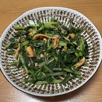 大根,大根 耐病総太り,大根 耐病総太り,大根　京むらさき,大根　京むらさきの画像