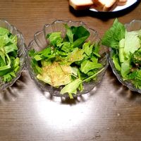 レタス,水菜,セロリ,チマサンチュ,小松菜の画像