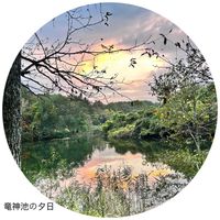 ブルーベリー,にらの花,紅葉（こうよう）,蓼科,竜神池の画像