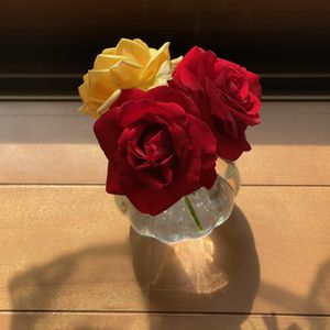 バラ・ミニバラの画像