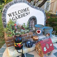 カランコエ,多肉植物,ハロウィン,多肉植物の寄せ植え♡,繋がりに感謝✨の画像