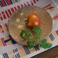ミニトマト,ミニトマト,ミニトマト,プランター栽培,ミニトマト♥の画像