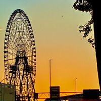 ケヤキ,イチョウ,太陽の塔さん,↑メタセコイヤ,大観覧車✨の画像