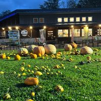 かぼちゃ,カボチャ,道の駅,釧路市,ハロウィン月間の画像